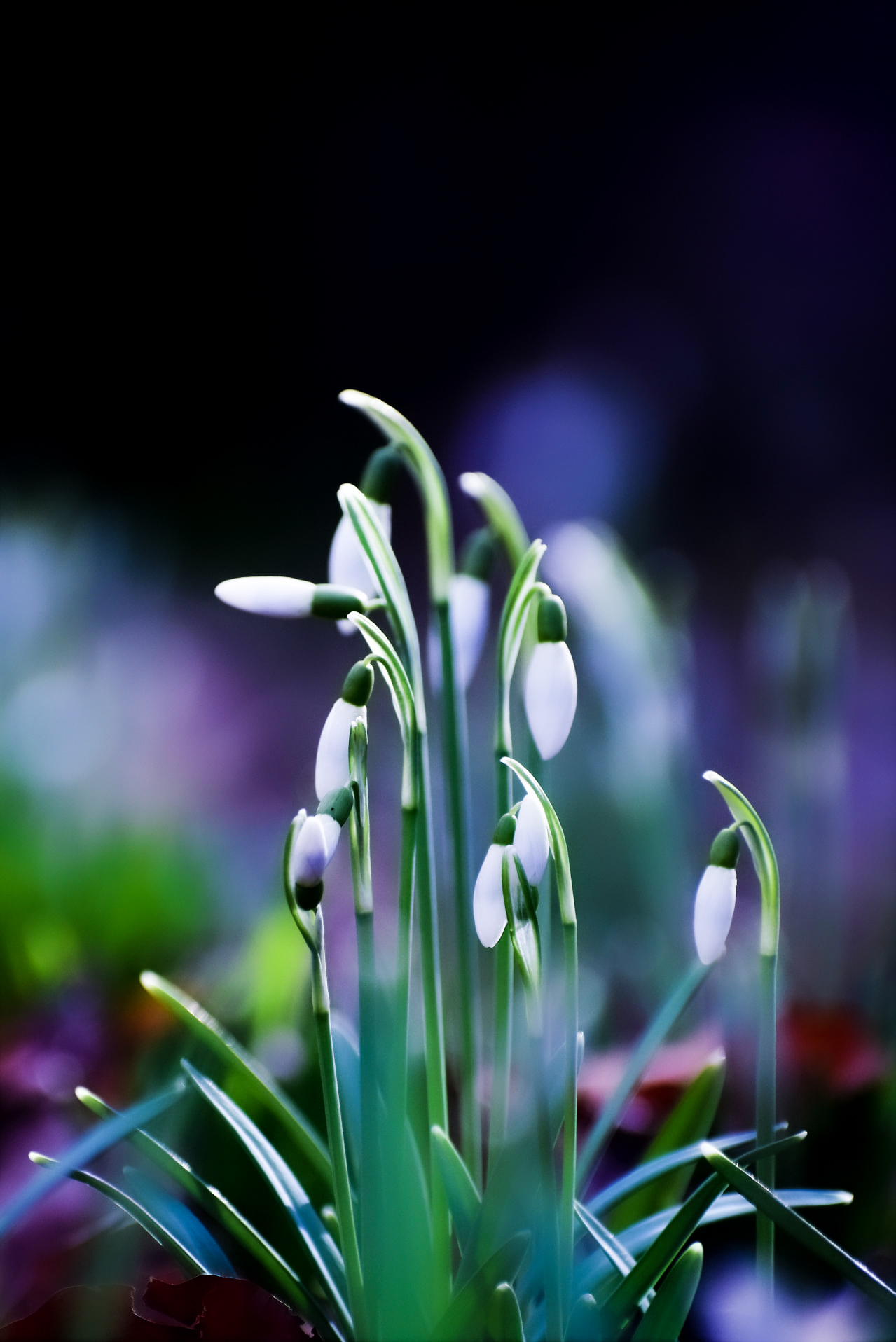 274477393_4937603466308183_846734078615979309_n (1)